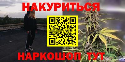 гидропоника Пенза