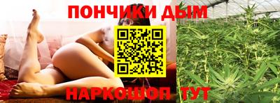 гидропоника Пенза