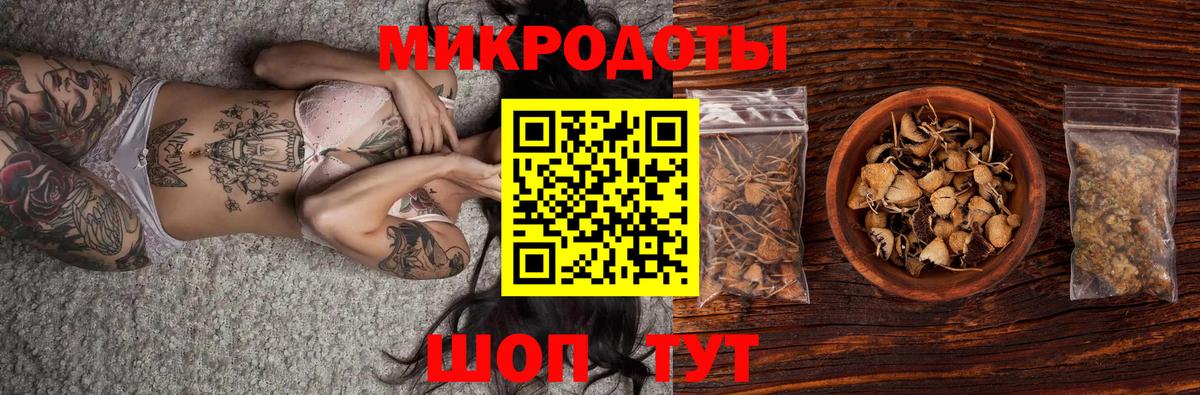 где продают наркотики  Вход с VPN  Саяногорск  Псилоцибиновые грибы GOLDEN TEACHER 